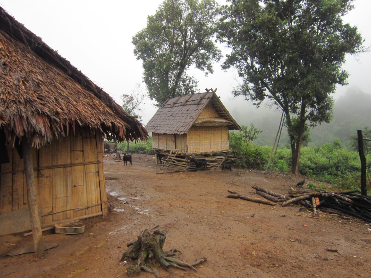 2 village huts with mist and trees in background in Laos. 
